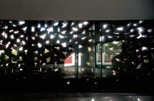 Ein Foto von Fernando Guerra